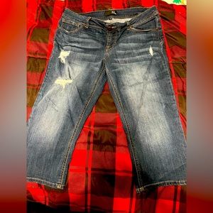 1822 capri jeans size 14